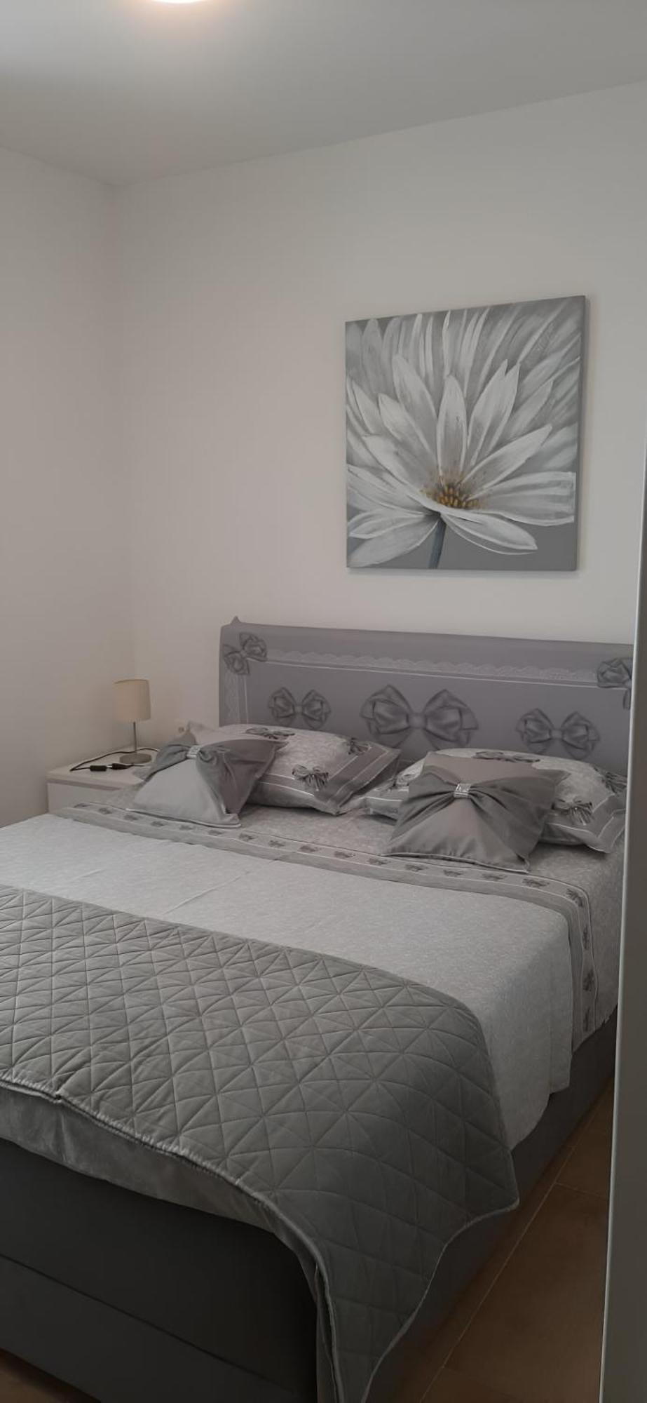Apartment Puntamika Villa De Rosa - Ground Floor Zadar Eksteriør billede